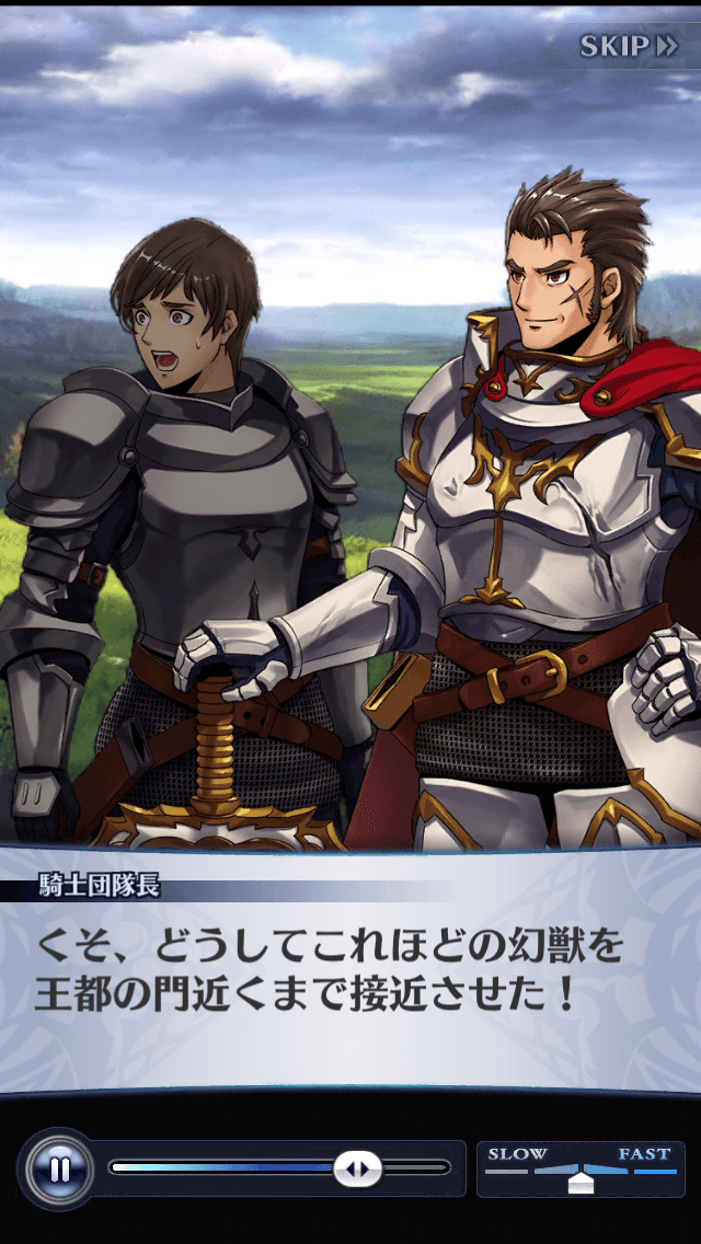 騎士団隊長