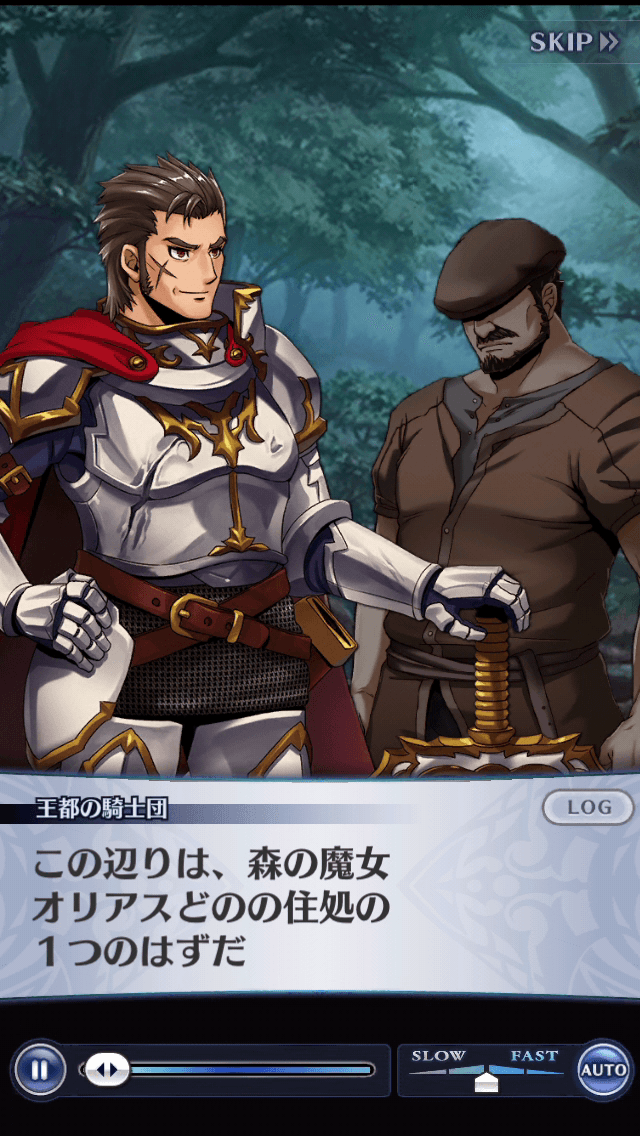 王都の騎士団