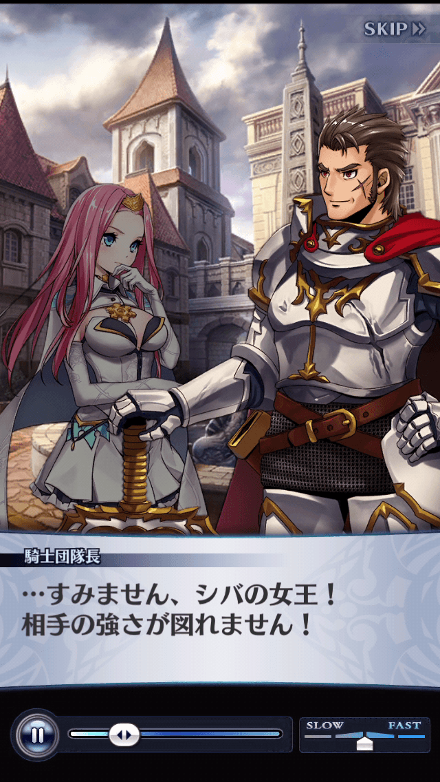 騎士団隊長