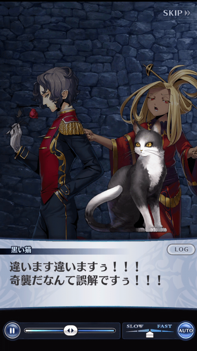 黒い猫