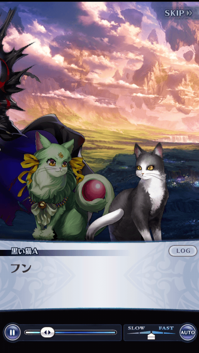 黒い猫A