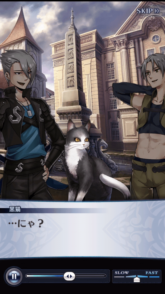 黒猫