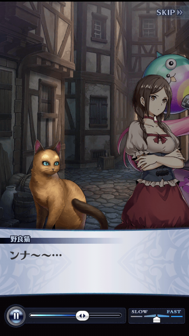 野良猫