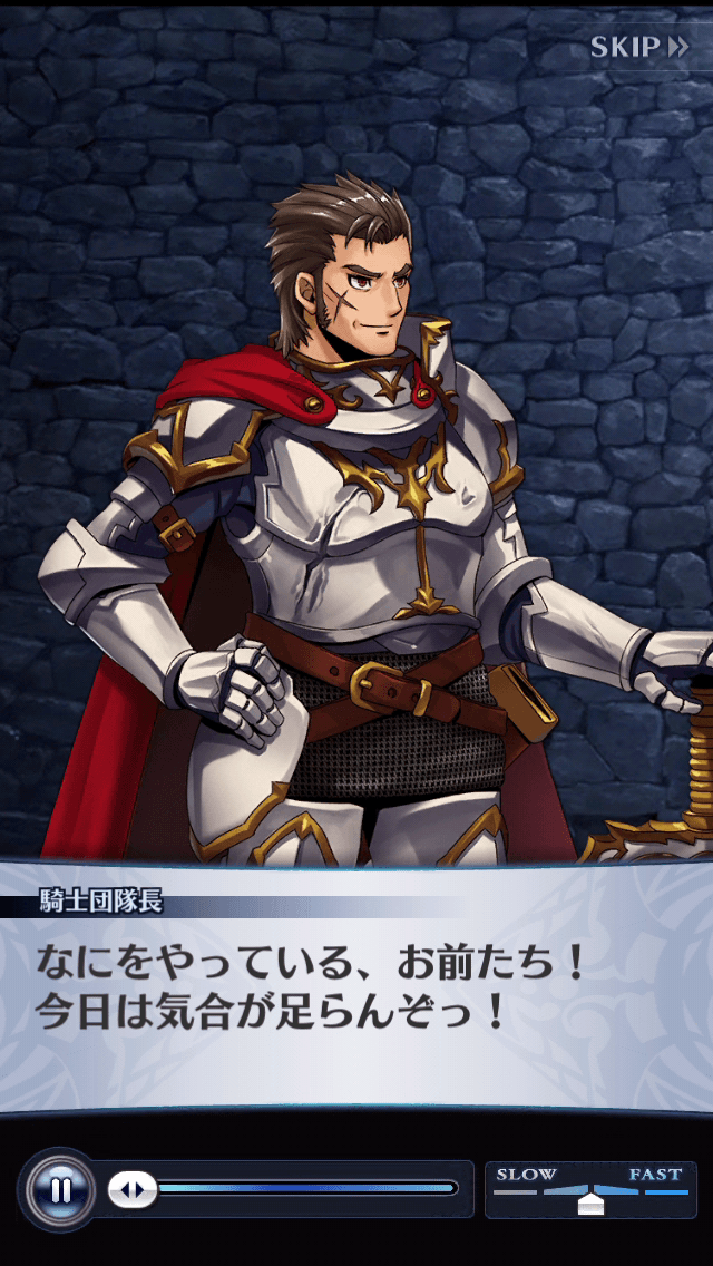 騎士団隊長