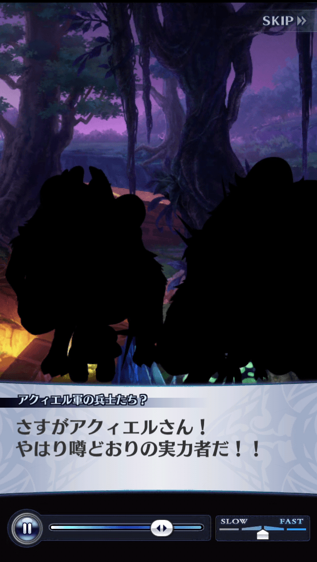 アクィエル軍の兵士たち？