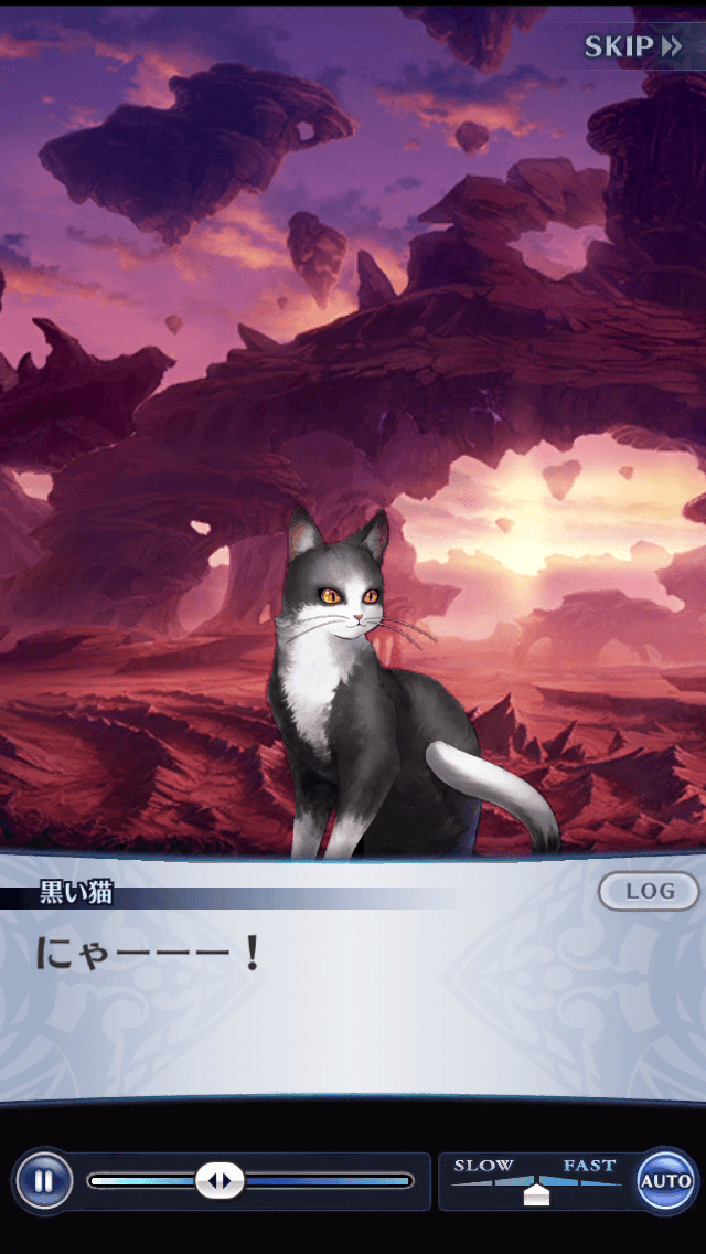 黒い猫