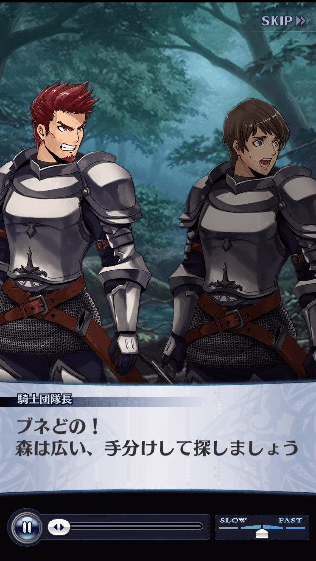 騎士団隊長