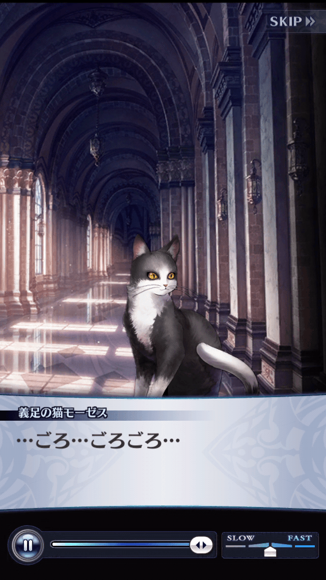 義足の猫モーゼス